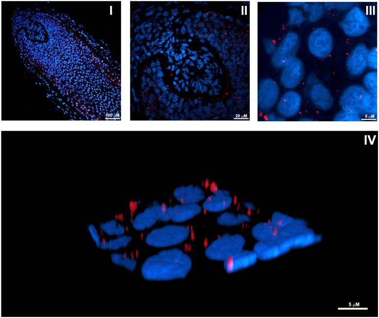 https://cdn.ncbi.nlm.nih.gov/pmc/blobs/018d/5891029/9e86f0978bb4/pbio.2002864.g001.jpg