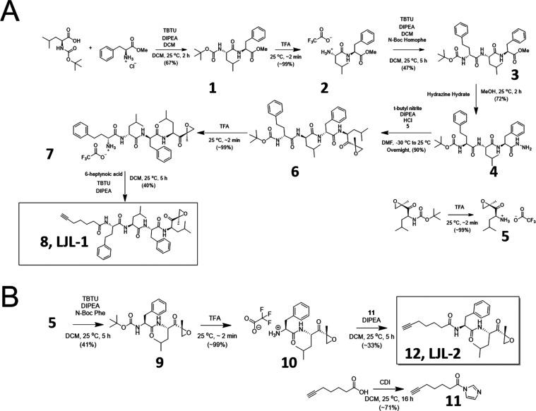 https://cdn.ncbi.nlm.nih.gov/pmc/blobs/0193/11325529/14ebce2b76dd/ao4c04316_0001.jpg