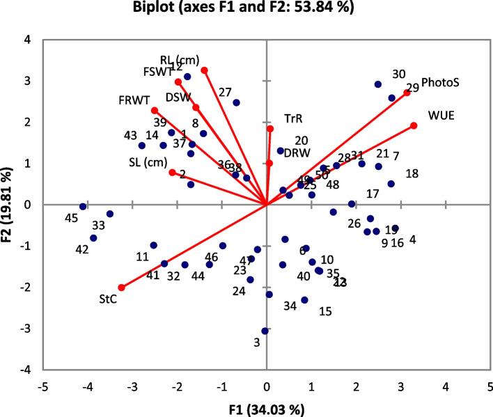 https://cdn.ncbi.nlm.nih.gov/pmc/blobs/0195/11921482/ad723913d737/12870_2025_6363_Fig3_HTML.jpg