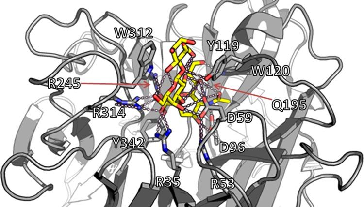 https://cdn.ncbi.nlm.nih.gov/pmc/blobs/0199/4930215/cb85da970be0/pone.0158434.g001.jpg