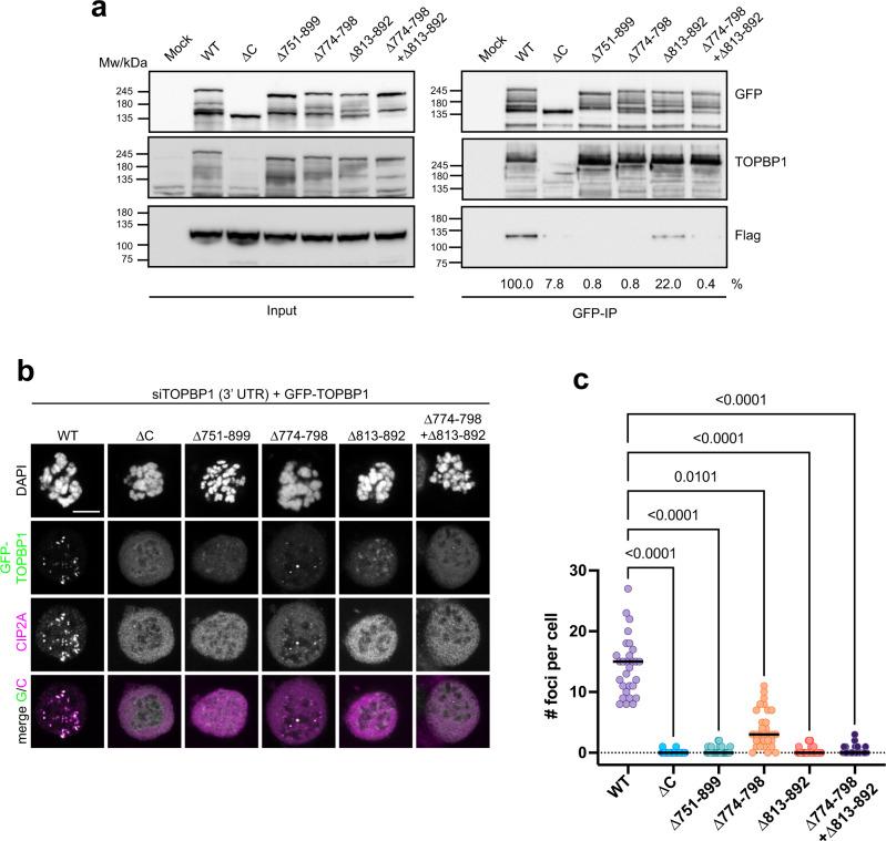 https://cdn.ncbi.nlm.nih.gov/pmc/blobs/0199/9288427/3012d6192a7d/41467_2022_31865_Fig4_HTML.jpg
