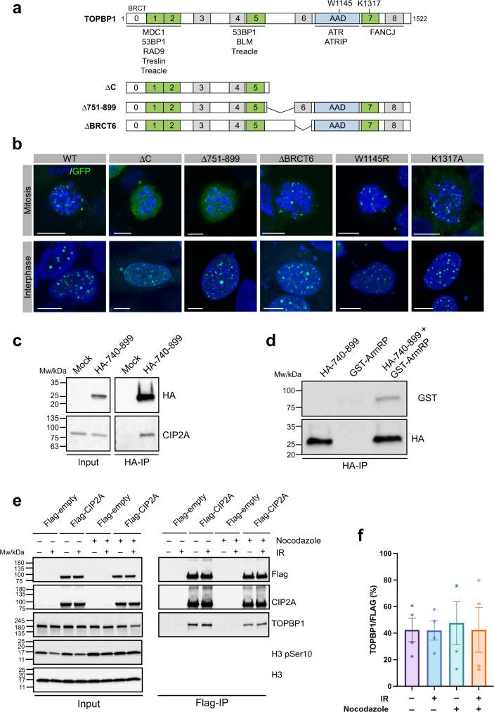 https://cdn.ncbi.nlm.nih.gov/pmc/blobs/0199/9288427/3e39b863b083/41467_2022_31865_Fig1_HTML.jpg