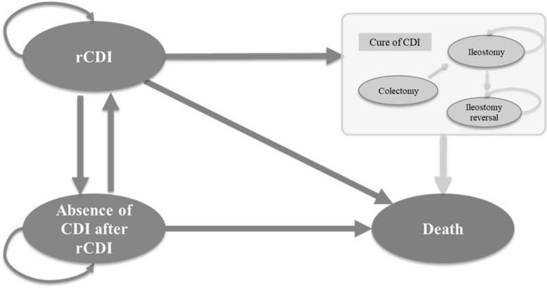 https://cdn.ncbi.nlm.nih.gov/pmc/blobs/019a/10220097/534a9858b537/12325_2023_2505_Fig1_HTML.jpg