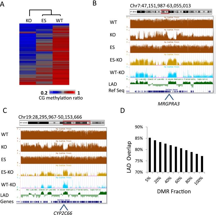 https://cdn.ncbi.nlm.nih.gov/pmc/blobs/019a/4199375/e514fb0dd5d3/1613fig3.jpg