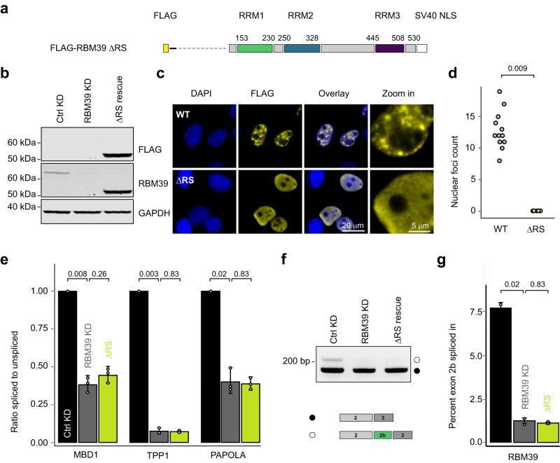 https://cdn.ncbi.nlm.nih.gov/pmc/blobs/019b/10477243/58349904b5ad/41467_2023_40254_Fig3_HTML.jpg