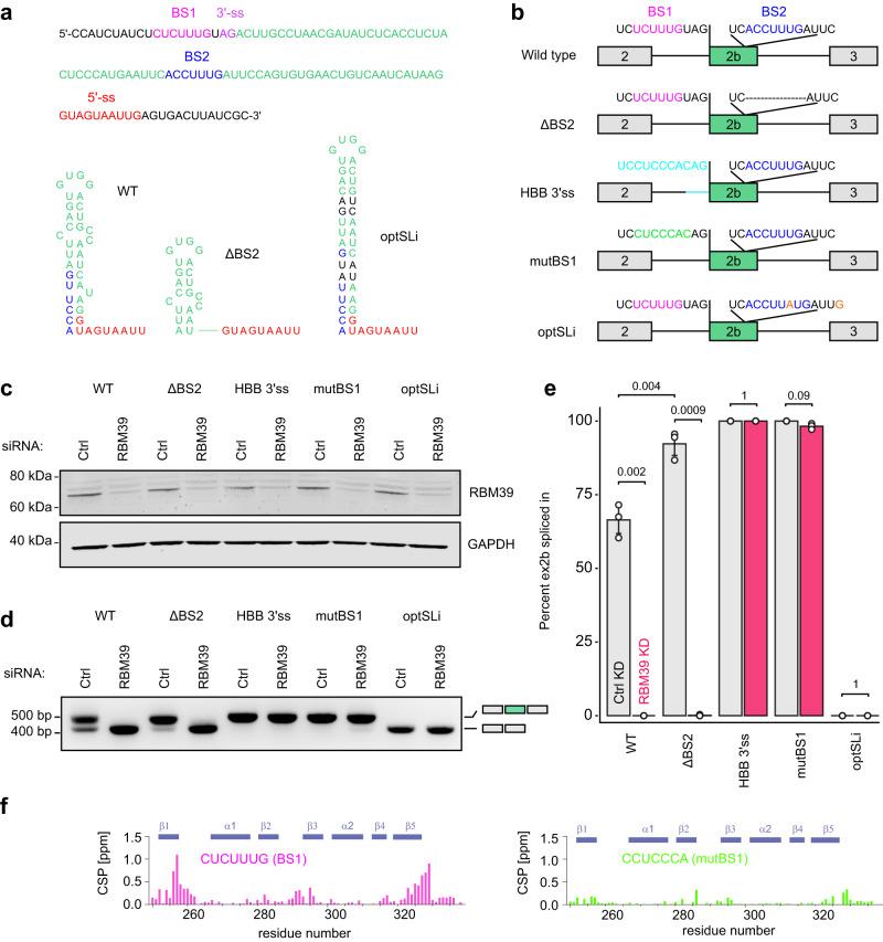https://cdn.ncbi.nlm.nih.gov/pmc/blobs/019b/10477243/aa5674e4b1dd/41467_2023_40254_Fig8_HTML.jpg