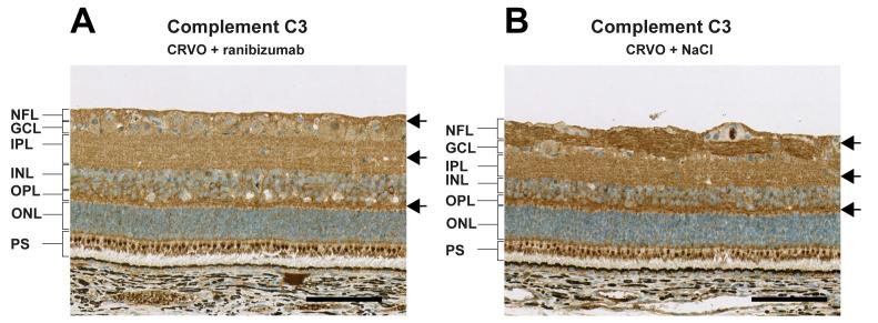 https://cdn.ncbi.nlm.nih.gov/pmc/blobs/019d/11575839/775a8e6686eb/mv-v30-268-f5.jpg