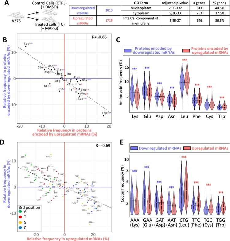 https://cdn.ncbi.nlm.nih.gov/pmc/blobs/01a0/11059277/f6cd98400e7b/zcae019fig1.jpg
