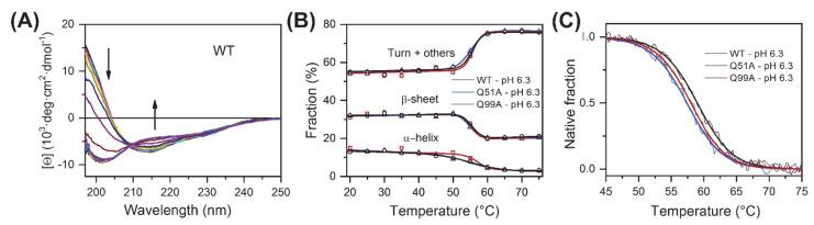 https://cdn.ncbi.nlm.nih.gov/pmc/blobs/01a1/9569817/a35827ca00d7/ijms-23-11346-g002.jpg