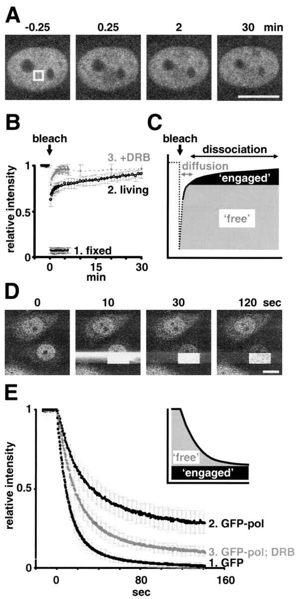 https://cdn.ncbi.nlm.nih.gov/pmc/blobs/01a4/2173384/4fe77b8c7e7d/200206019f1.jpg