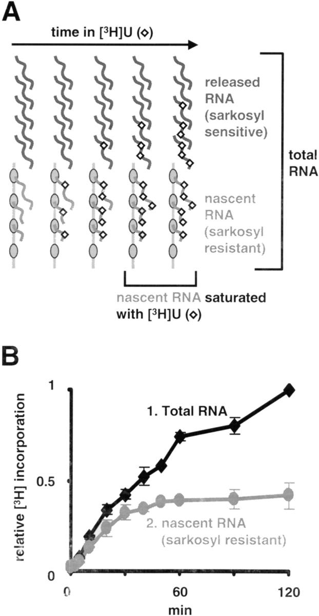 https://cdn.ncbi.nlm.nih.gov/pmc/blobs/01a4/2173384/766acda63474/200206019f2.jpg