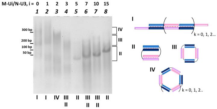 https://cdn.ncbi.nlm.nih.gov/pmc/blobs/01a5/10779776/6144853f6356/molecules-29-00010-g002.jpg
