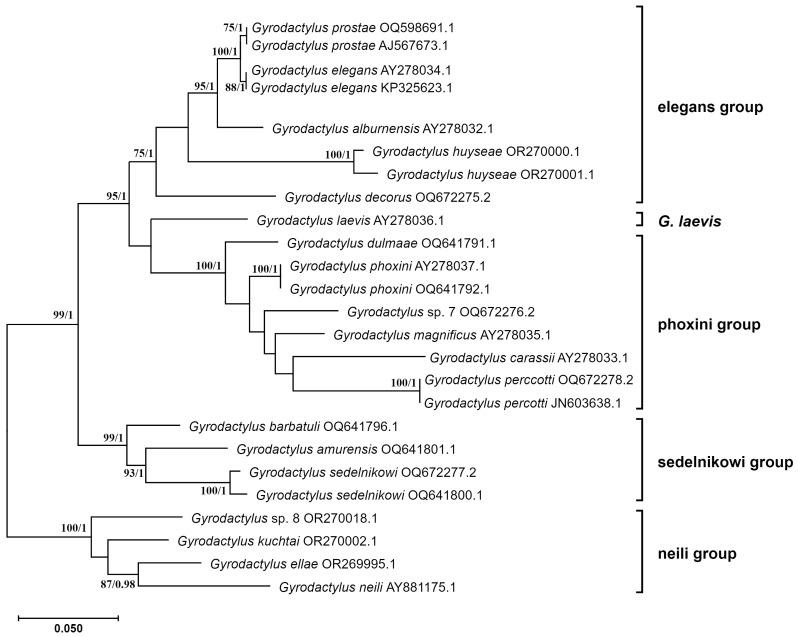 https://cdn.ncbi.nlm.nih.gov/pmc/blobs/01a6/11430952/17ff823ad5e4/genes-15-01236-g004.jpg