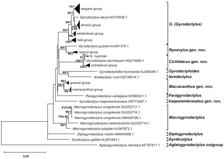 https://cdn.ncbi.nlm.nih.gov/pmc/blobs/01a6/11430952/da837684c007/genes-15-01236-g003.jpg
