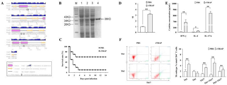 https://cdn.ncbi.nlm.nih.gov/pmc/blobs/01a7/12189854/379ade1a6134/biology-14-00616-g001.jpg