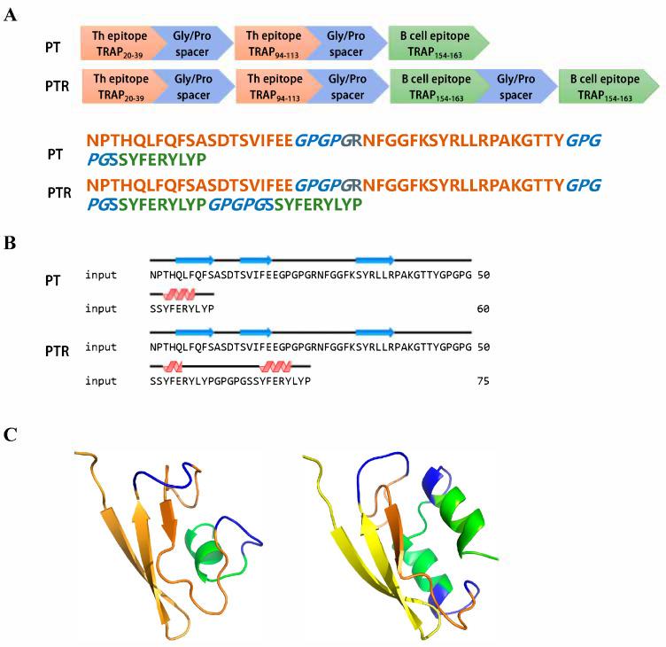 https://cdn.ncbi.nlm.nih.gov/pmc/blobs/01a7/12189854/8cfb95c79a5f/biology-14-00616-g005.jpg