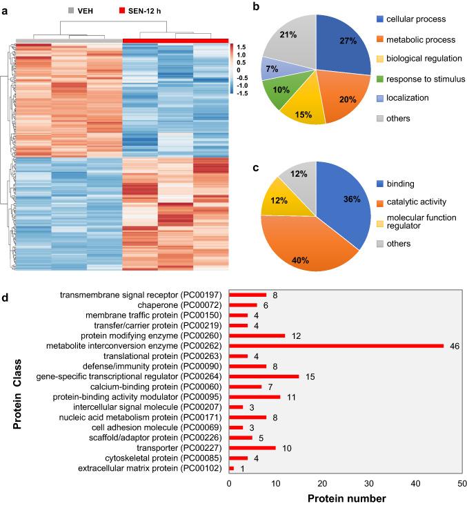 https://cdn.ncbi.nlm.nih.gov/pmc/blobs/01a7/9151551/e02ad5f1db5e/204_2022_3281_Fig3_HTML.jpg