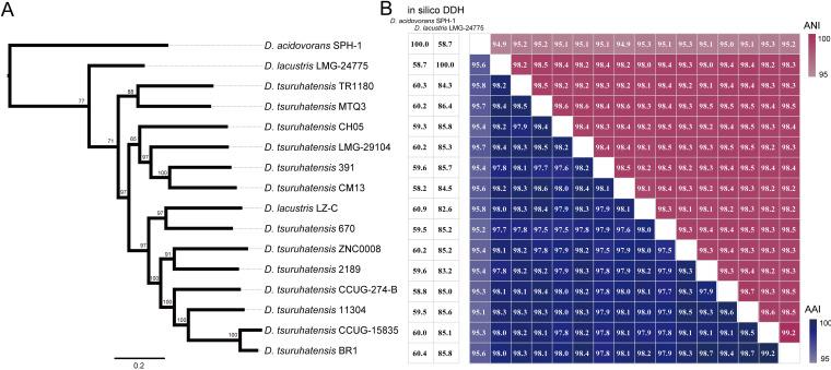 https://cdn.ncbi.nlm.nih.gov/pmc/blobs/01a8/9045143/004fb994de21/spectrum.02072-21-f001.jpg