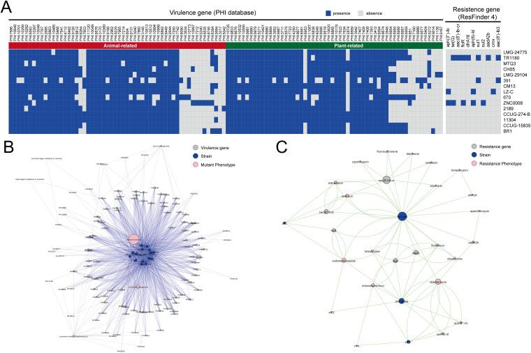 https://cdn.ncbi.nlm.nih.gov/pmc/blobs/01a8/9045143/5fb739e5c864/spectrum.02072-21-f007.jpg