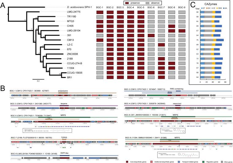 https://cdn.ncbi.nlm.nih.gov/pmc/blobs/01a8/9045143/a3ba875a05ec/spectrum.02072-21-f008.jpg