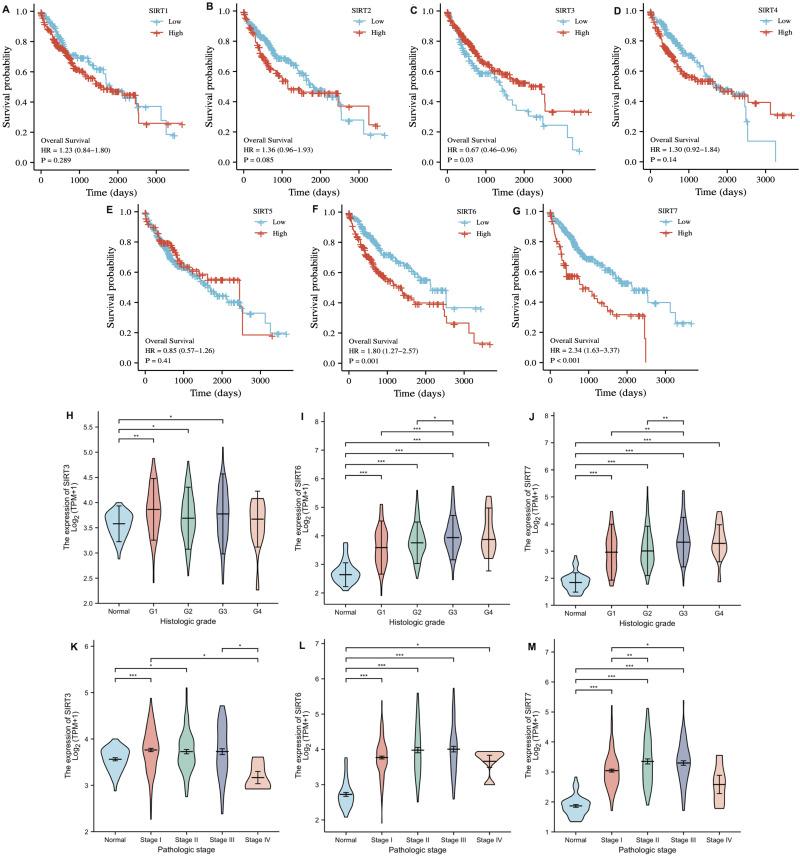 https://cdn.ncbi.nlm.nih.gov/pmc/blobs/01ac/11164202/ec284486049f/IJGM-17-2655-g0006.jpg