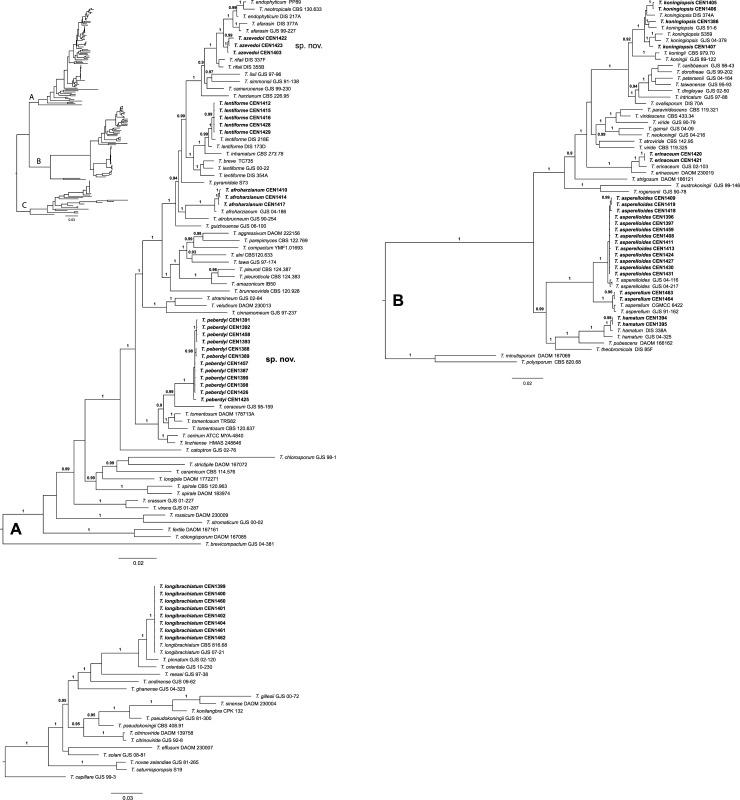 https://cdn.ncbi.nlm.nih.gov/pmc/blobs/01ad/7055844/09f415877478/pone.0228485.g002.jpg