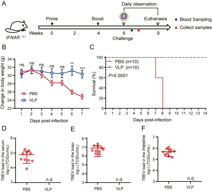 https://cdn.ncbi.nlm.nih.gov/pmc/blobs/01b0/10590693/a8eaceb9cdfe/gr3.jpg