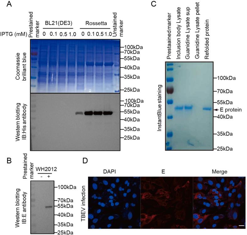 https://cdn.ncbi.nlm.nih.gov/pmc/blobs/01b0/10590693/b9b344f8ade9/figs1.jpg