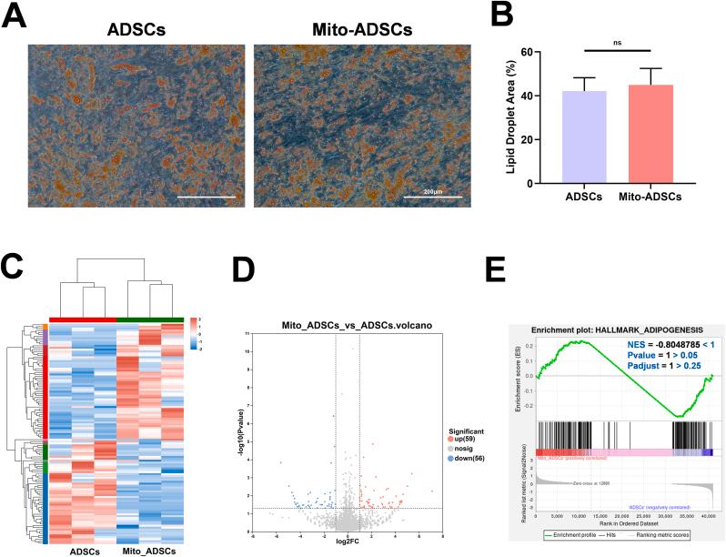 https://cdn.ncbi.nlm.nih.gov/pmc/blobs/01b2/12391279/0c0802a75a88/gr8.jpg