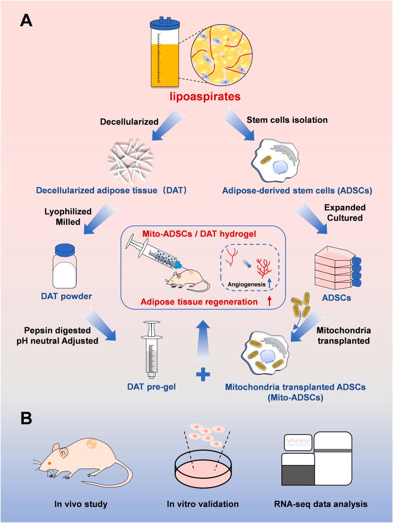 https://cdn.ncbi.nlm.nih.gov/pmc/blobs/01b2/12391279/759892cbcbba/sc1.jpg