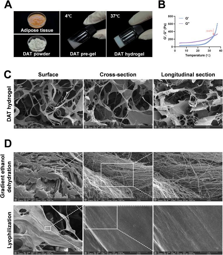 https://cdn.ncbi.nlm.nih.gov/pmc/blobs/01b2/12391279/7eb98fc9ed2f/gr4.jpg