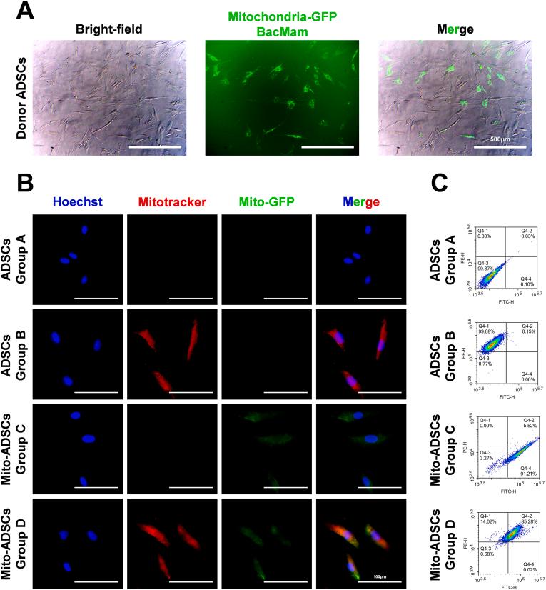 https://cdn.ncbi.nlm.nih.gov/pmc/blobs/01b2/12391279/81d0391b5114/gr2.jpg