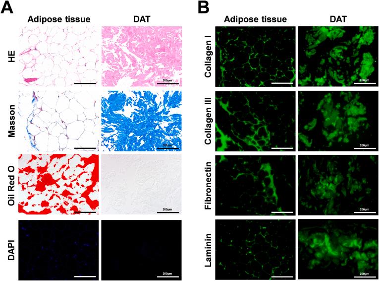 https://cdn.ncbi.nlm.nih.gov/pmc/blobs/01b2/12391279/92b6cecba662/gr3.jpg