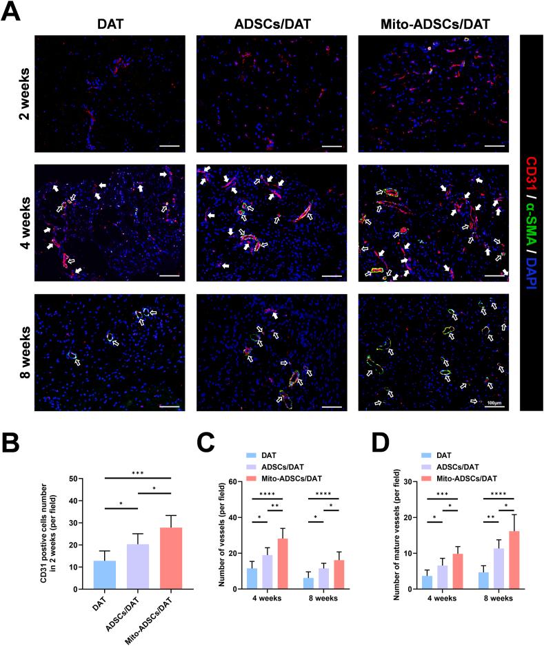https://cdn.ncbi.nlm.nih.gov/pmc/blobs/01b2/12391279/d61936ba6cce/gr7.jpg