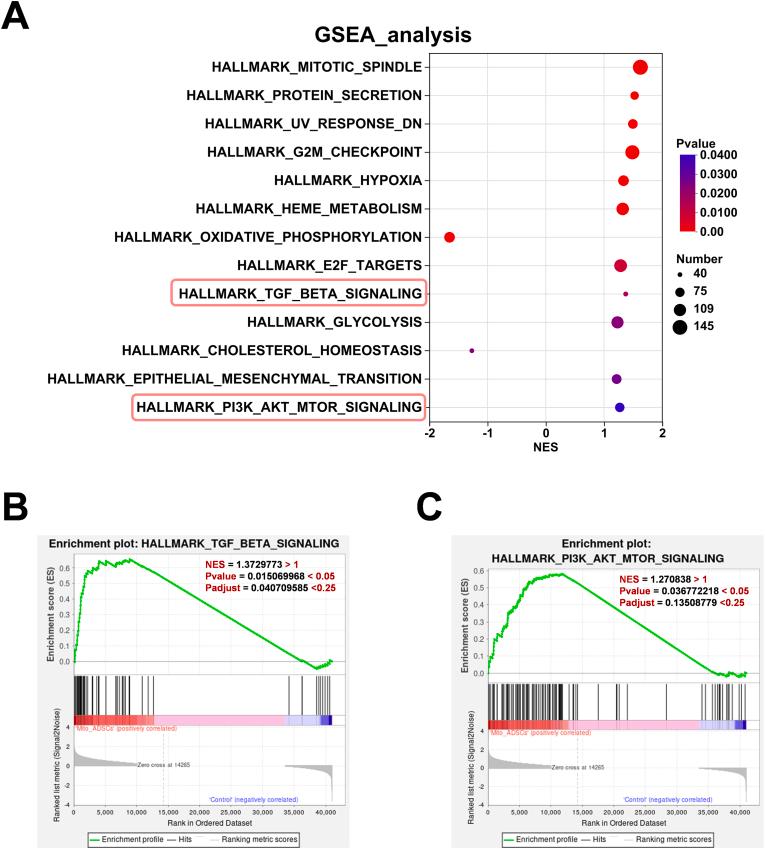 https://cdn.ncbi.nlm.nih.gov/pmc/blobs/01b2/12391279/e5ba8af22527/gr14.jpg