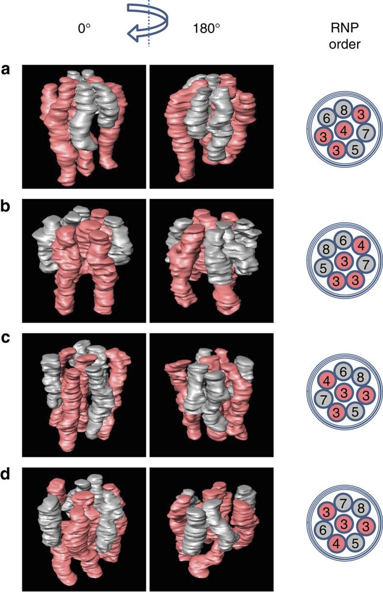 https://cdn.ncbi.nlm.nih.gov/pmc/blobs/01b3/3272569/65fdb8c6ea0d/ncomms1647-f3.jpg