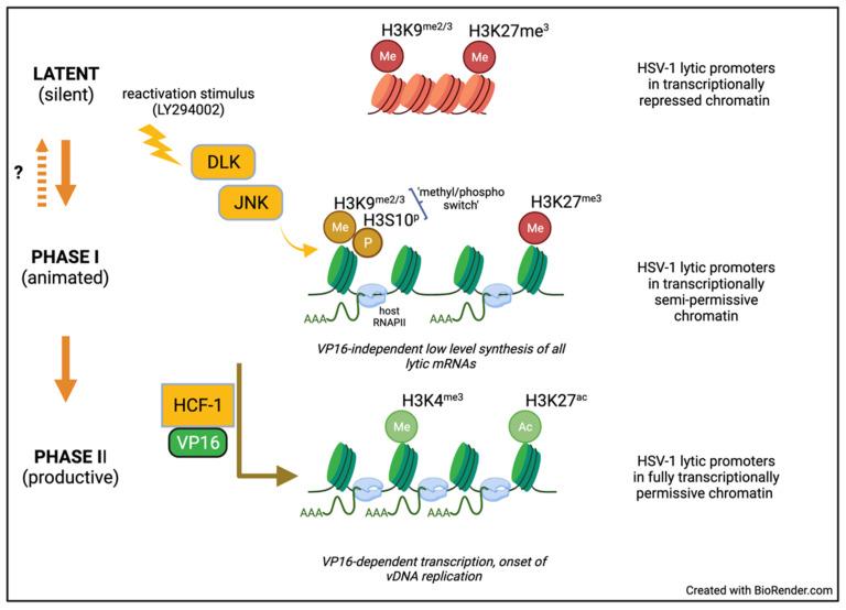 https://cdn.ncbi.nlm.nih.gov/pmc/blobs/01b3/9228292/3cdc4eb9aee2/viruses-14-01209-g003.jpg