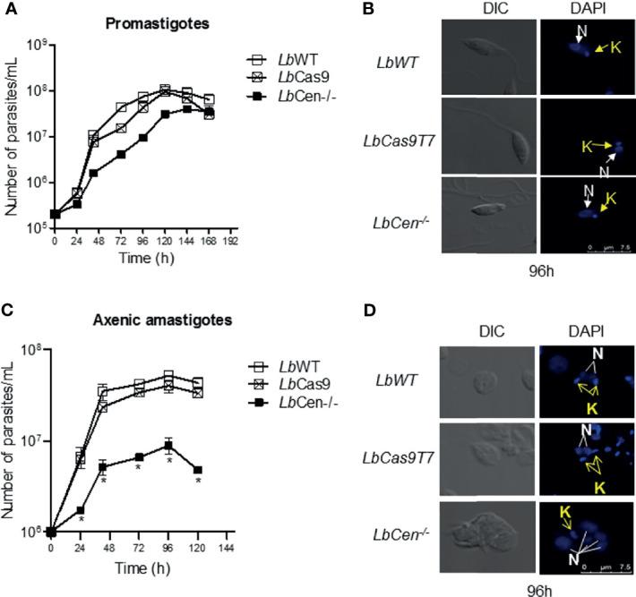 https://cdn.ncbi.nlm.nih.gov/pmc/blobs/01b8/8892584/2b0d156282d0/fcimb-11-790418-g005.jpg