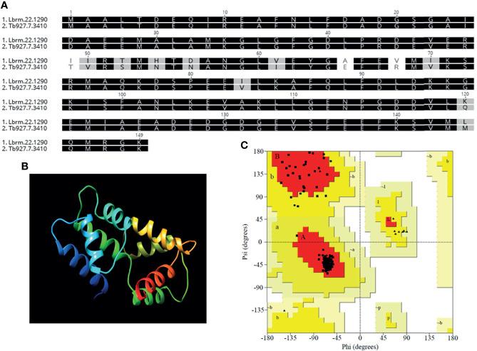https://cdn.ncbi.nlm.nih.gov/pmc/blobs/01b8/8892584/5cba0cd4bbfa/fcimb-11-790418-g001.jpg