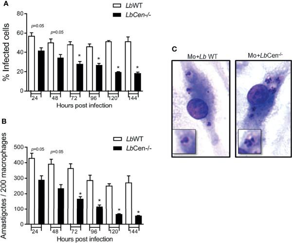 https://cdn.ncbi.nlm.nih.gov/pmc/blobs/01b8/8892584/98289406db89/fcimb-11-790418-g007.jpg