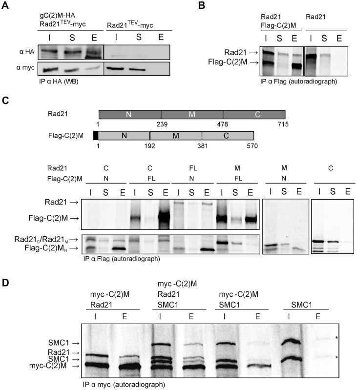https://cdn.ncbi.nlm.nih.gov/pmc/blobs/01b9/4125089/c40eb298c702/pgen.1004540.g004.jpg