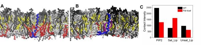 https://cdn.ncbi.nlm.nih.gov/pmc/blobs/01b9/7173942/9c32570a1694/pcbi.1007777.g006.jpg