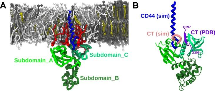https://cdn.ncbi.nlm.nih.gov/pmc/blobs/01b9/7173942/aeb7bc959b84/pcbi.1007777.g007.jpg