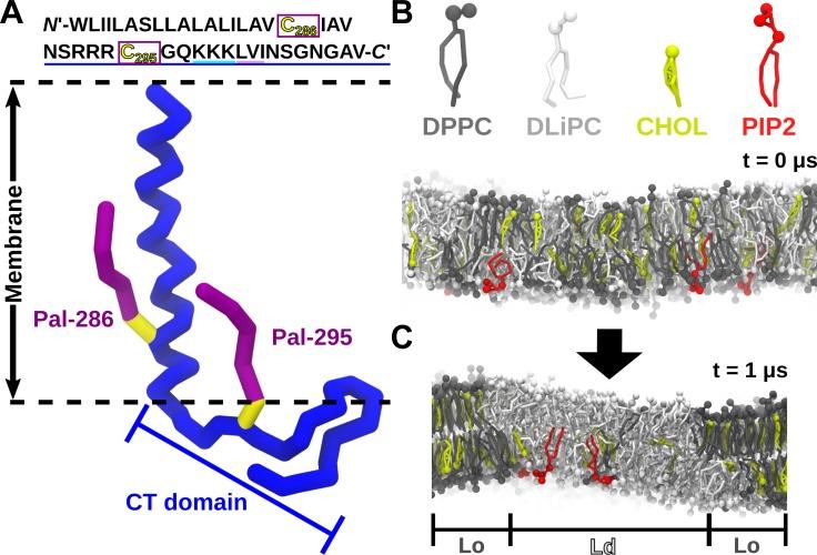 https://cdn.ncbi.nlm.nih.gov/pmc/blobs/01b9/7173942/c221226d98dd/pcbi.1007777.g001.jpg