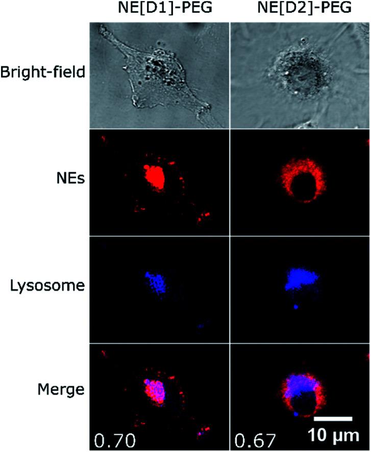 https://cdn.ncbi.nlm.nih.gov/pmc/blobs/01bc/9416932/0853daf1f861/c9na00710e-f10.jpg