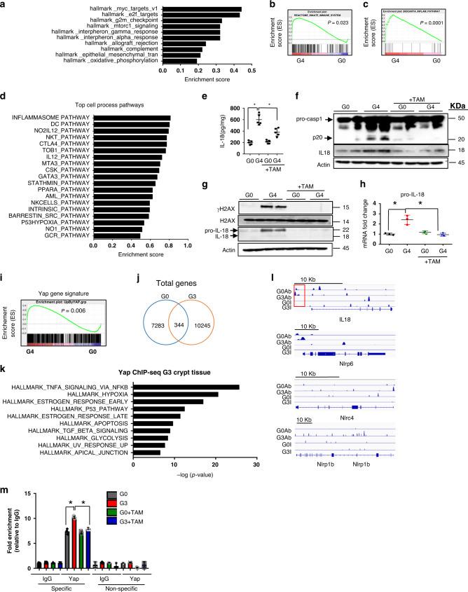 https://cdn.ncbi.nlm.nih.gov/pmc/blobs/01bd/7505960/421cb94a8ac5/41467_2020_18420_Fig2_HTML.jpg