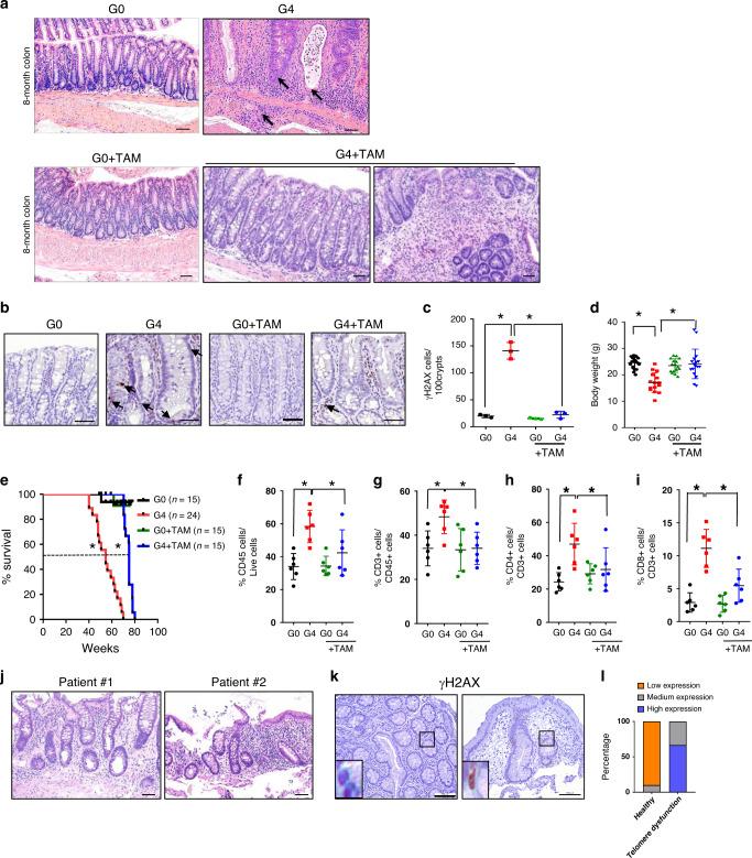 https://cdn.ncbi.nlm.nih.gov/pmc/blobs/01bd/7505960/48ea3005eff4/41467_2020_18420_Fig1_HTML.jpg