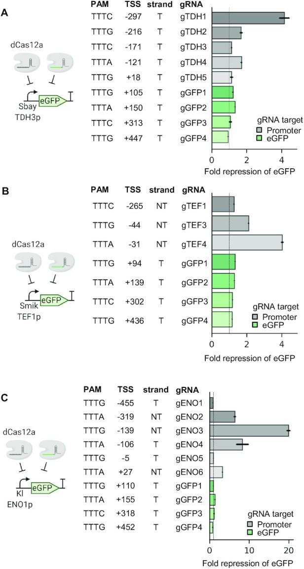 https://cdn.ncbi.nlm.nih.gov/pmc/blobs/01bf/8287914/ed92685dff12/gkab529fig3.jpg