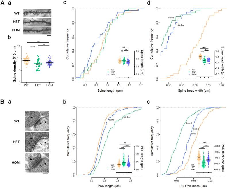 https://cdn.ncbi.nlm.nih.gov/pmc/blobs/01c2/10600164/536aeaf38507/41398_2023_2626_Fig2_HTML.jpg