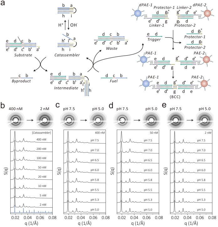 https://cdn.ncbi.nlm.nih.gov/pmc/blobs/01c3/12381743/b99283d222d1/au5c00687_0004.jpg